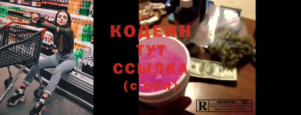 твердый Горняк