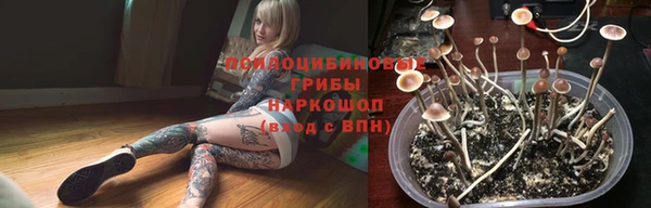 твердый Горняк