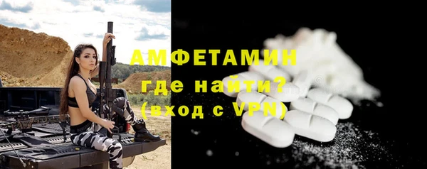 шишки Горно-Алтайск