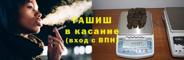 шишки Горно-Алтайск