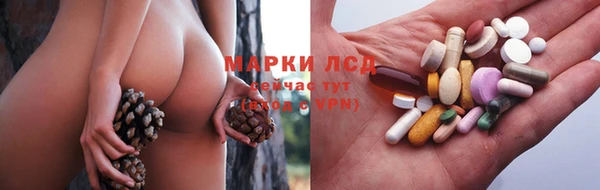твердый Горняк