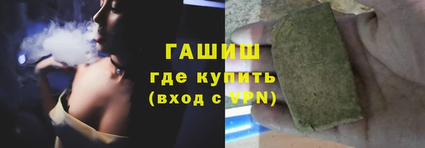 шишки Горно-Алтайск
