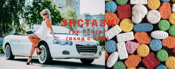 шишки Горно-Алтайск