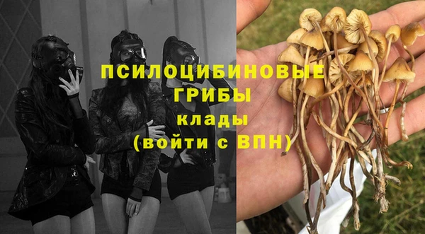 шишки Горно-Алтайск
