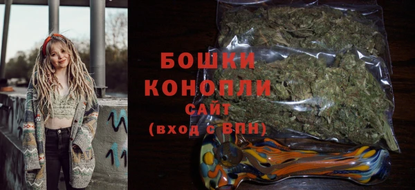 твердый Горняк