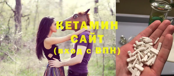 шишки Горно-Алтайск