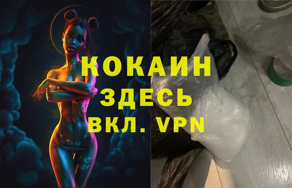 твердый Горняк