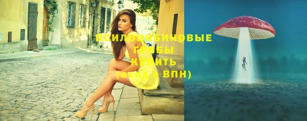 шишки Горно-Алтайск