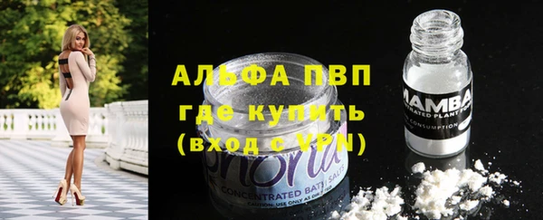 шишки Горно-Алтайск