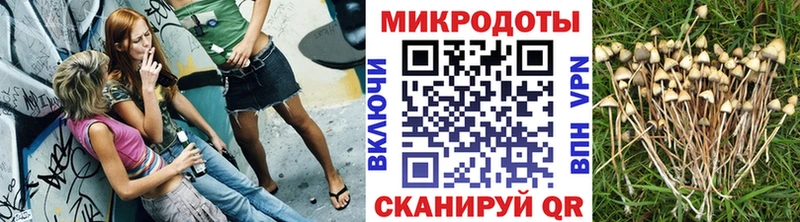 продажа наркотиков  Королёв  Галлюциногенные грибы ЛСД 
